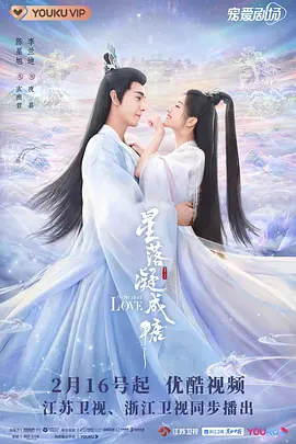 星落凝成糖 (2023)
