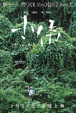 小伟(2019)