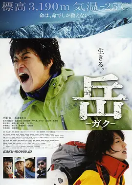 岳:冰峰救援(2011)